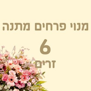 מנוי מתנה - 6 זרים