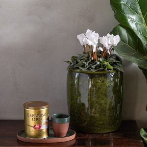 קפה טחון Espresso Oro מבית Saquella